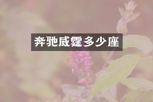 奔驰威霆多少座