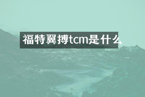 福特翼搏tcm是什么