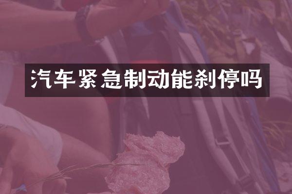 汽车紧急制动能刹停吗