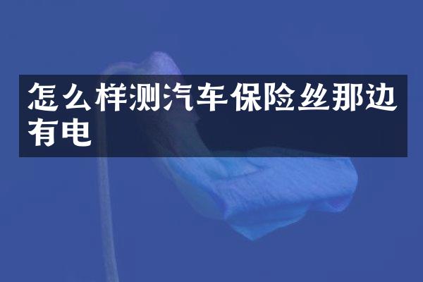 怎么样测汽车保险丝那边有电