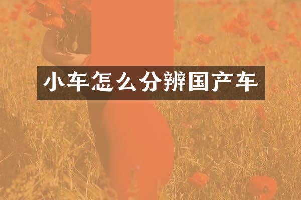 小车怎么分辨国产车