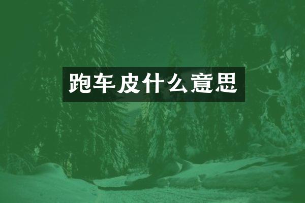 跑车皮什么意思