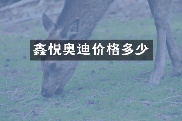 鑫悦奥迪价格多少