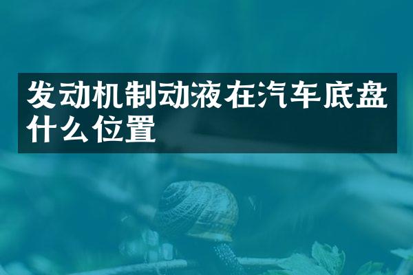 发动机制动液在汽车底盘什么位置