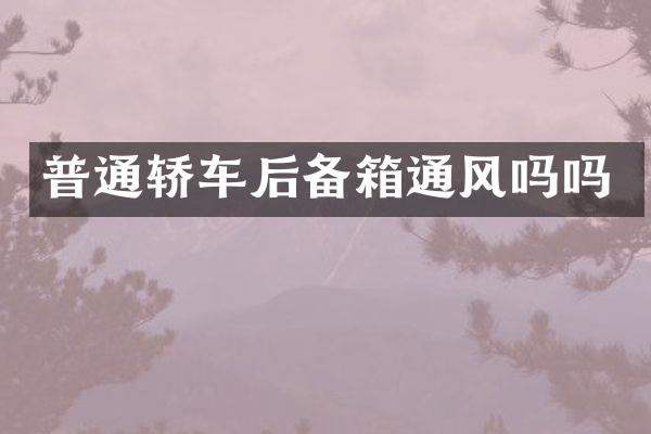 普通轿车后备箱通风吗吗