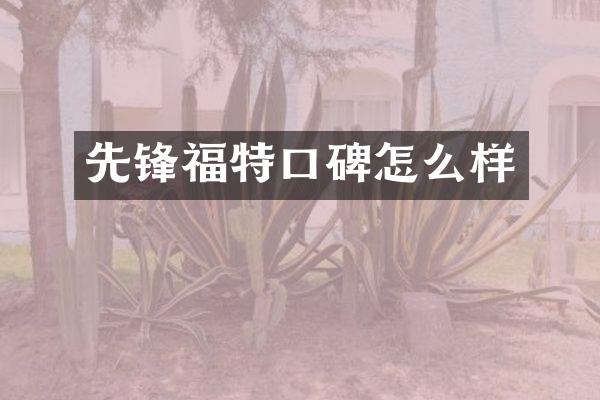 先锋福特口碑怎么样