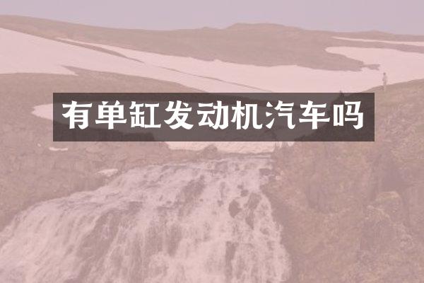 有单缸发动机汽车吗