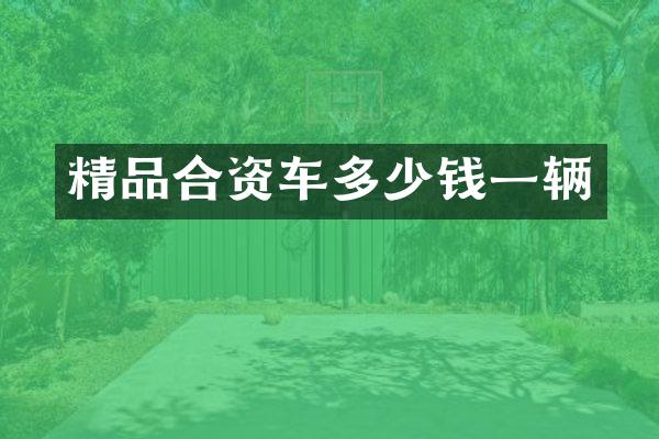 精品合资车多少钱一辆