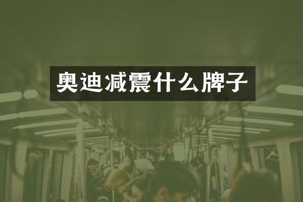 奥迪减震什么牌子