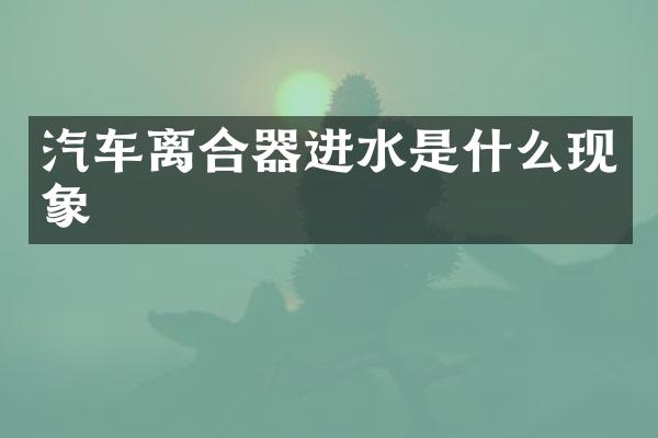 汽车离合器进水是什么现象