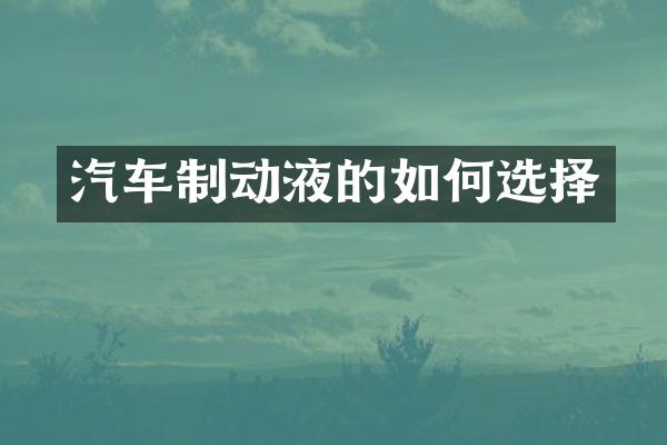 汽车制动液的如何选择