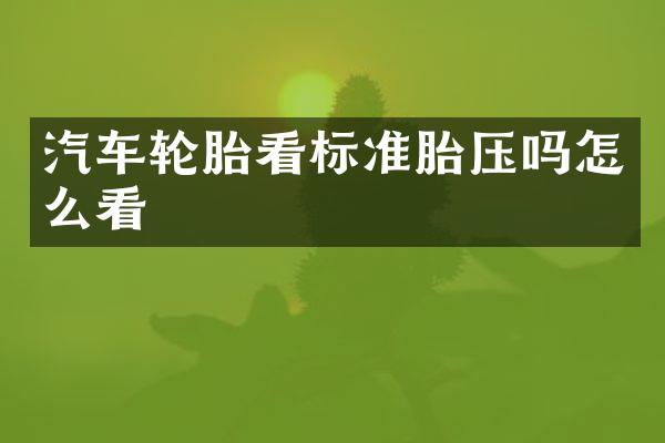 汽车轮胎看标准胎压吗怎么看