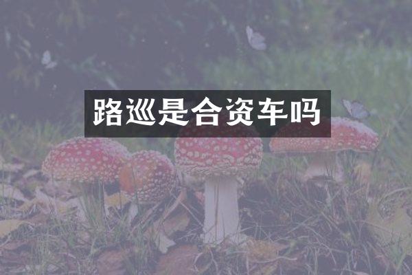 路巡是合资车吗