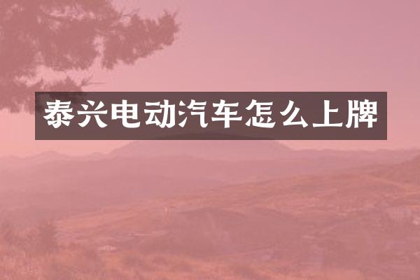 泰兴电动汽车怎么上牌