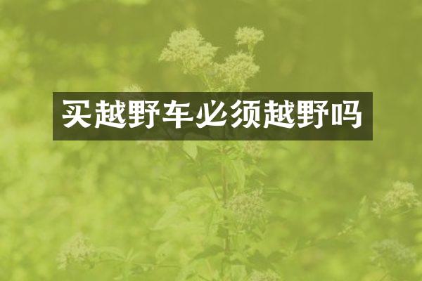 买越野车必须越野吗