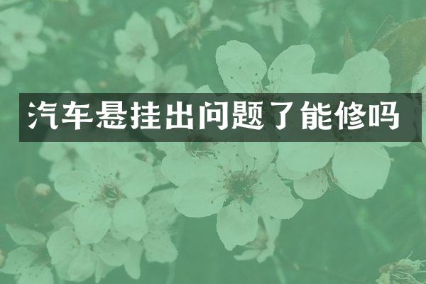 汽车悬挂出问题了能修吗
