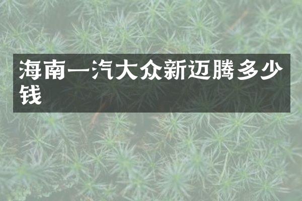 海南一汽大众新迈腾多少钱