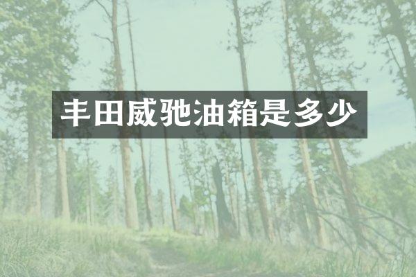 丰田威驰油箱是多少