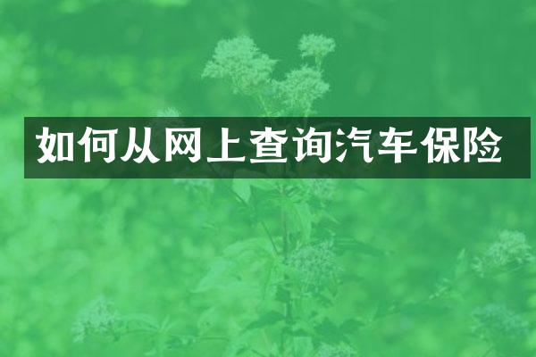 如何从网上查询汽车保险