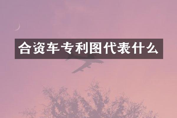 合资车专利图代表什么