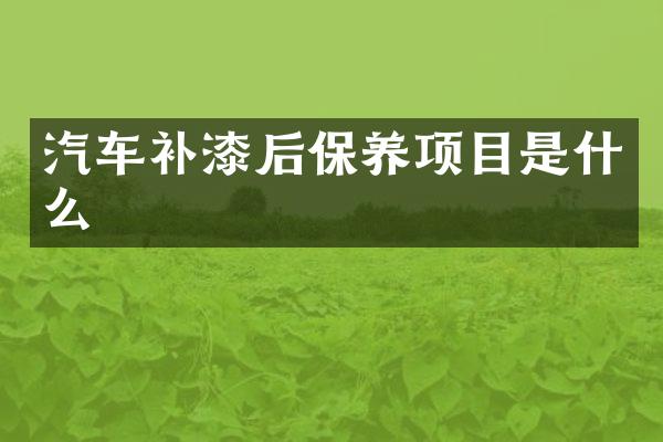 汽车补漆后保养项目是什么