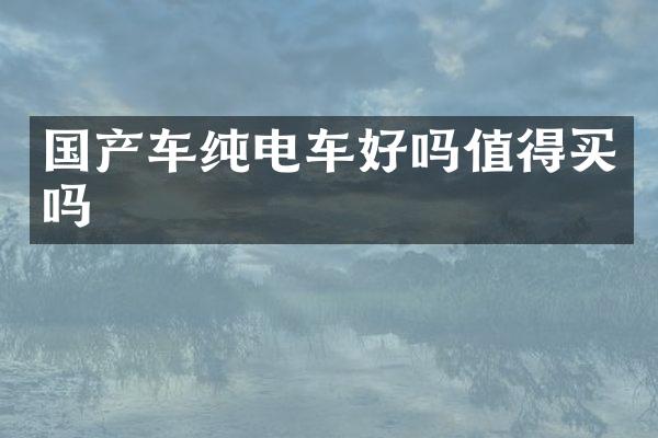 国产车纯电车好吗值得买吗