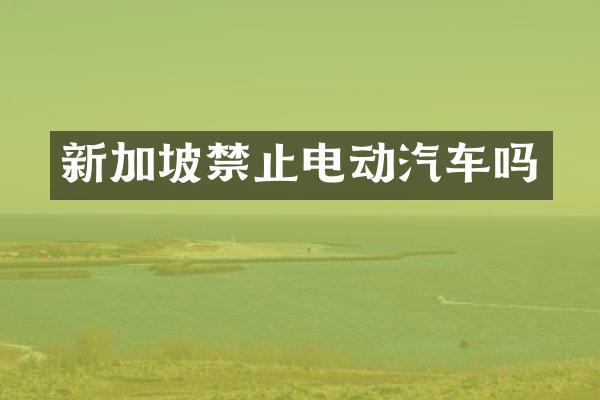 新加坡禁止电动汽车吗