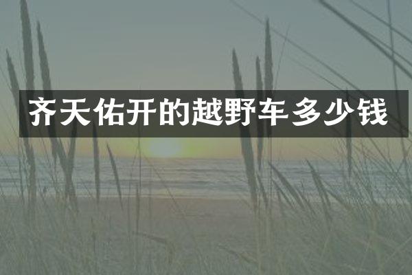齐天佑开的越野车多少钱