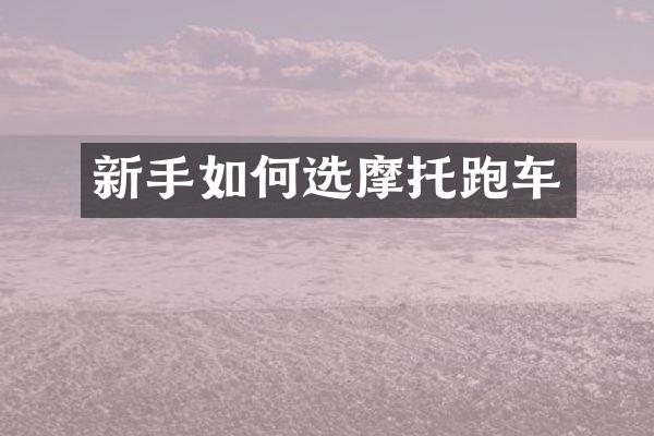 新手如何选摩托跑车