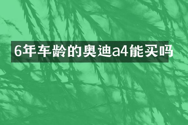 6年车龄的奥迪a4能买吗