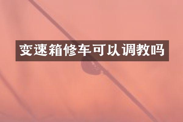 变速箱修车可以吗