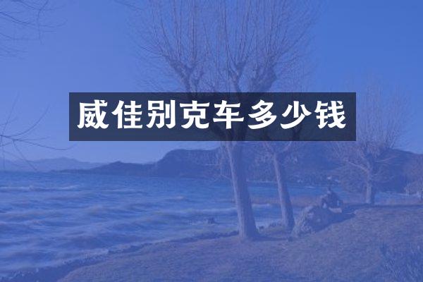 威佳别克车多少钱