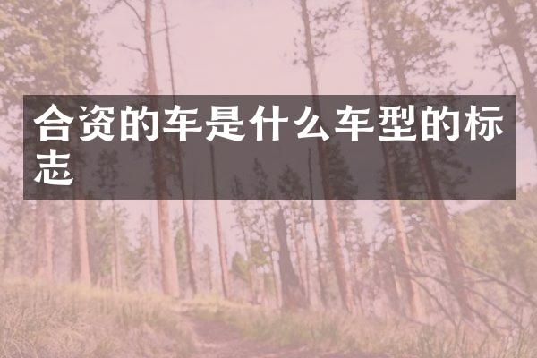 合资的车是什么车型的标志