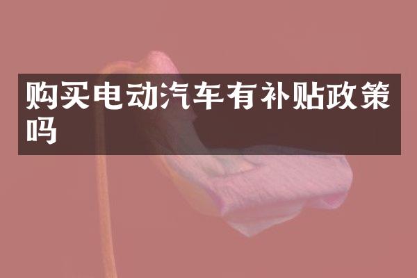 购买电动汽车有补贴政策吗
