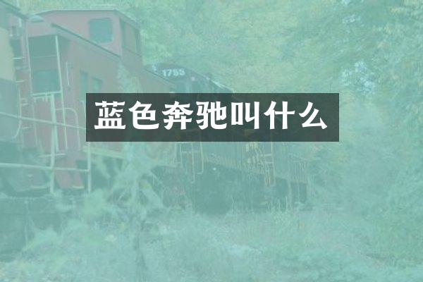 蓝色奔驰叫什么
