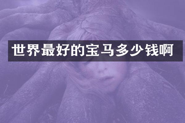 世界最好的宝马多少钱啊
