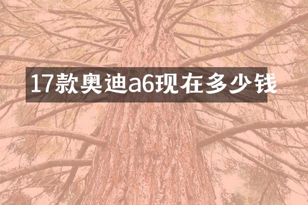 17款奥迪a6现在多少钱