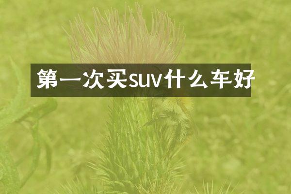 第一次买suv什么车好