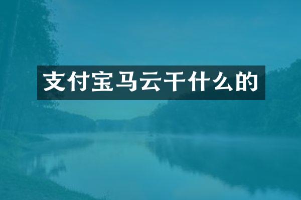 支付宝马云干什么的