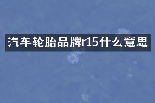汽车轮胎品牌r15什么意思