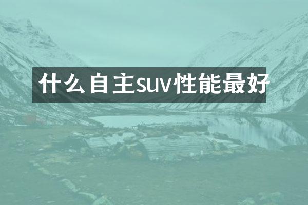 什么自主suv性能最好