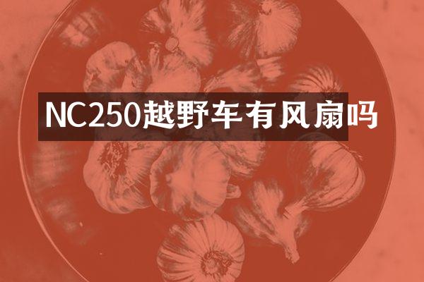 NC250越野车有风扇吗