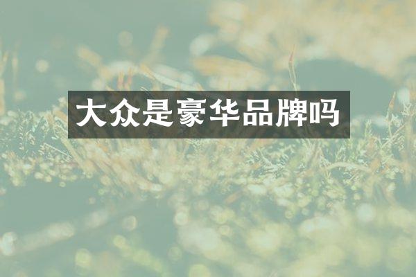 大众是豪华品牌吗