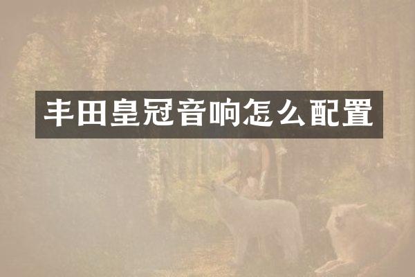 丰田皇冠音响怎么配置