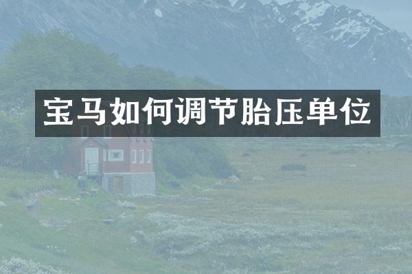 宝马如何调节胎压单位