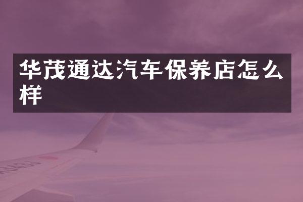 华茂通达汽车保养店怎么样