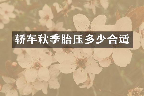 轿车秋季胎压多少合适