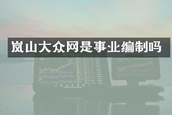 岚山大众网是事业编制吗