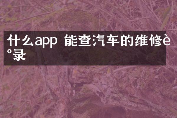什么app 能查汽车的维修记录