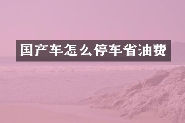 国产车怎么停车省油费